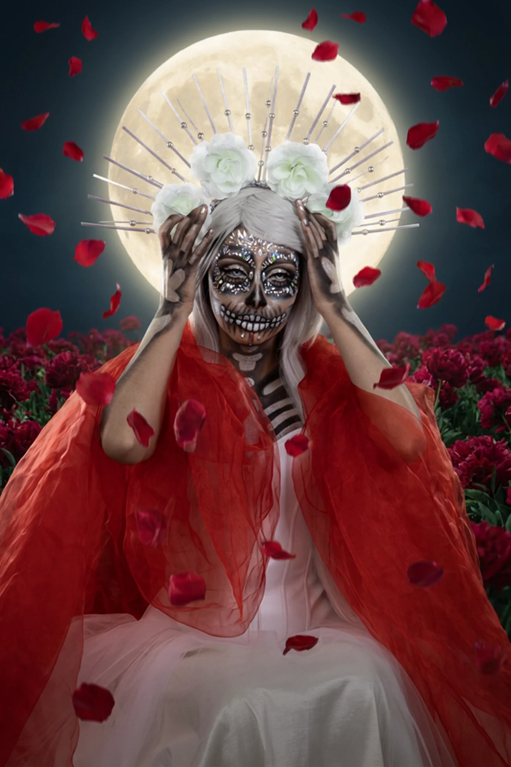 Muestra de Alquimia Visual